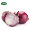 Natural vegetable China Gansu fresh red onion export